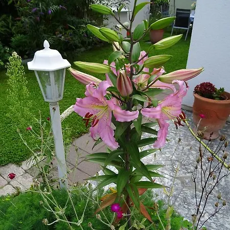 Apartment Traudl Singer Innsbruck