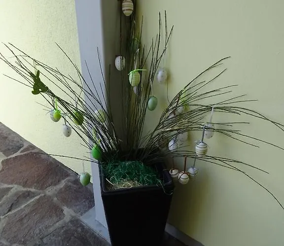 特拉德尔辛格弗利恩沃农旅馆 *