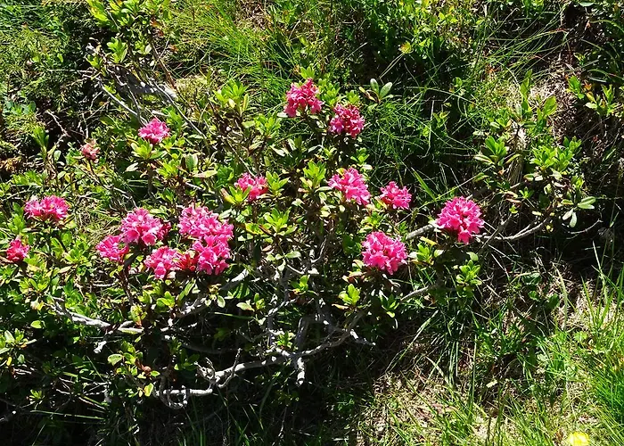 Apartmán Traudl Singer Innsbruck