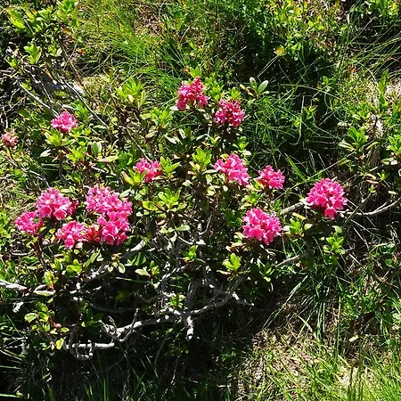Appartement Traudl Singer Innsbruck